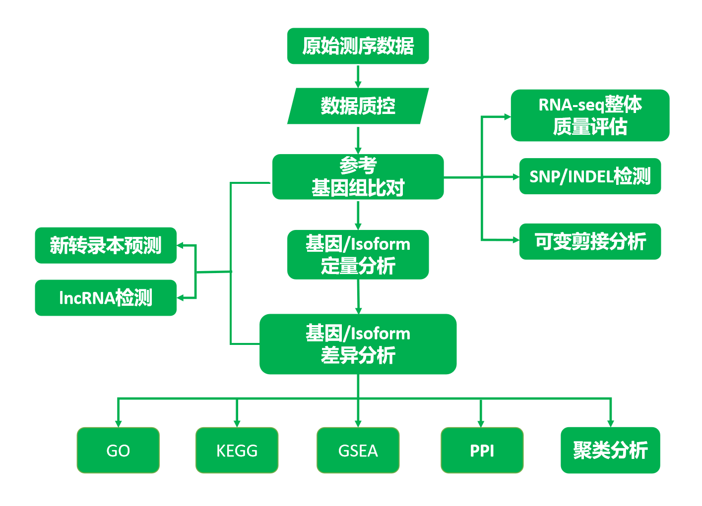 mrna技术路线
