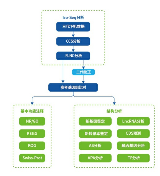 图片 1