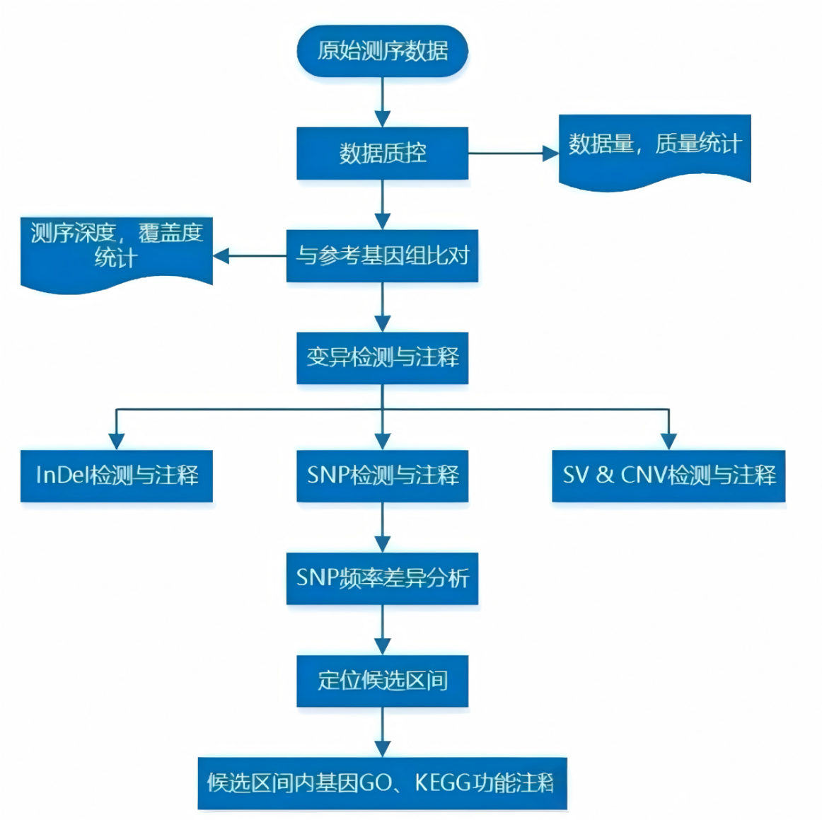 BSA技术路线